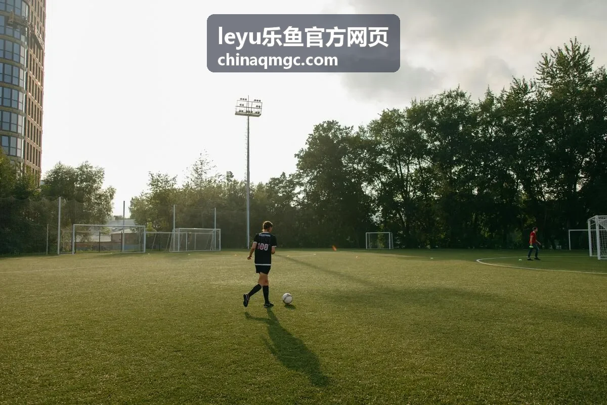 leyu乐鱼官方网页成员权限模块角色分配示意